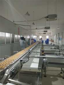 宜昌華爾食品公司榮獲食品示范企業稱號，引領餅干行業高質量發展